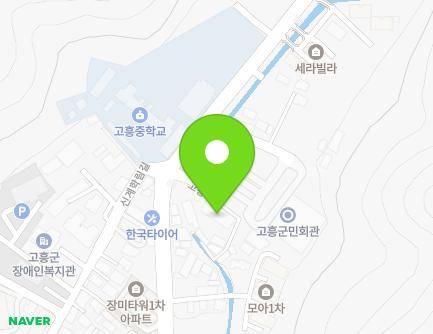 전라남도 고흥군 고흥읍 고흥로 1848-6 (투인빌라) 지도