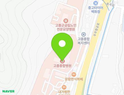 전라남도 고흥군 고흥읍 고흥로 1935 (병원) 지도