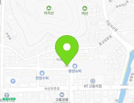 전라남도 고흥군 고흥읍 터미널길 33 (치과병원) 지도