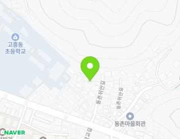 전라남도 고흥군 고흥읍 동촌뒤안길 3-46 지도