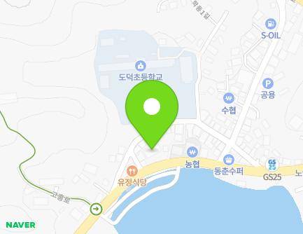 전라남도 고흥군 도덕면 고흥로 461 (소매점) 지도