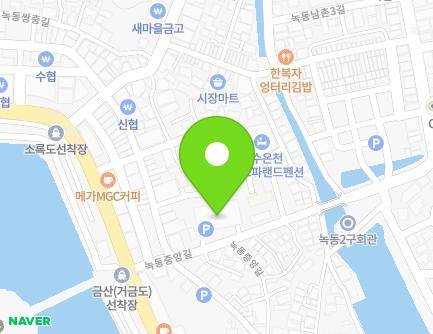 전라남도 고흥군 도양읍 녹동중앙길 46 (도양공영주차타워) 지도