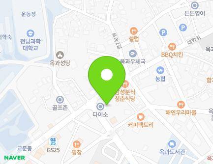 전라남도 곡성군 옥과면 대학로 128 (천지팰리스) 지도