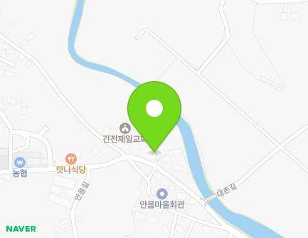 전라남도 구례군 간전면 안음길 31 (대흥방앗간) 지도