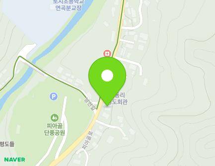 전라남도 구례군 토지면 피아골로 656 (정든민박) 지도