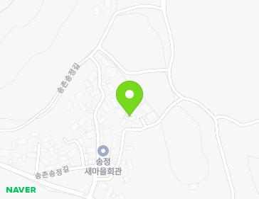 전라남도 나주시 다시면 송촌송정길 4-9 지도