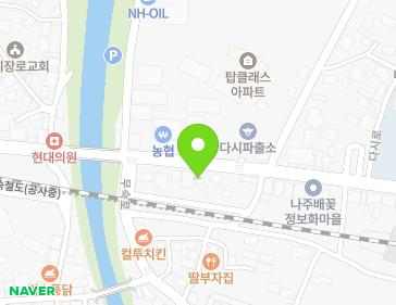 전라남도 나주시 다시면 다시로 182 지도