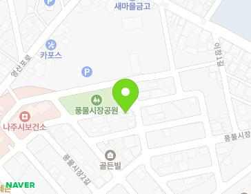 전라남도 나주시 풍물시장2길 57-33 (이창동) 지도
