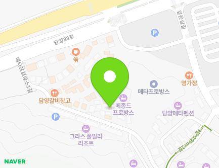 전라남도 담양군 담양읍 메타프로방스1길 55-3 (N동) 지도
