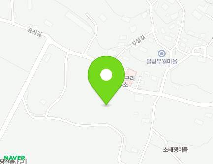 전라남도 담양군 대덕면 금산길 316 지도