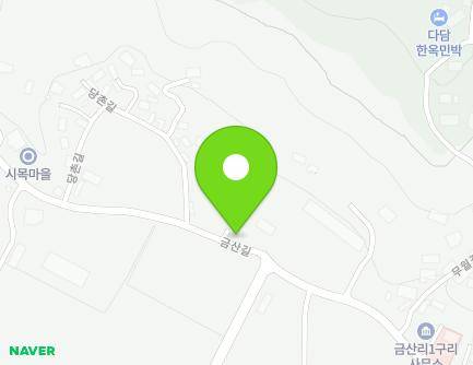 전라남도 담양군 대덕면 금산길 295 지도