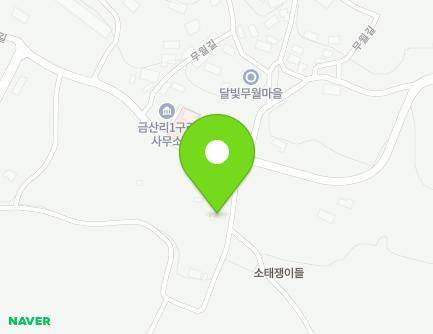전라남도 담양군 대덕면 금산길 324-8 지도