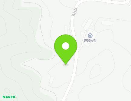 전라남도 담양군 대덕면 금산길 181 지도