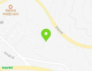 전라남도 담양군 대덕면 대조동1길 22-14 지도