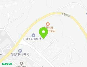 전라남도 담양군 대덕면 대조동1길 36-12 지도