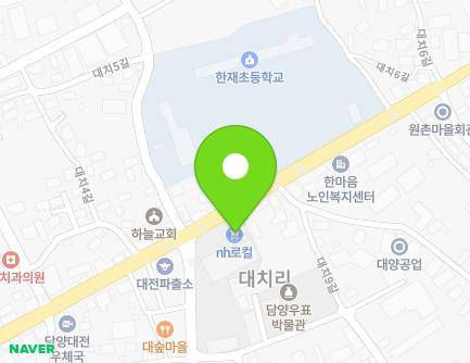 전라남도 담양군 대전면 추성1로 208 (농협) 지도