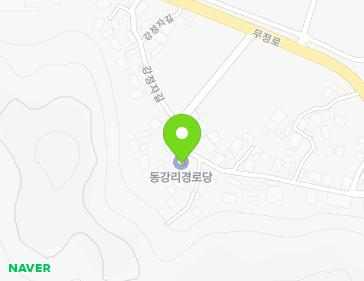 전라남도 담양군 무정면 강정자길 22 (동강리회관) 지도