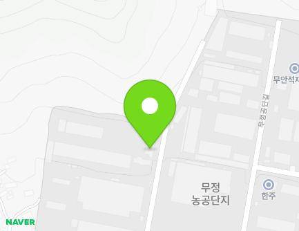 전라남도 담양군 무정면 무정공단길 3-31 (호남화학) 지도