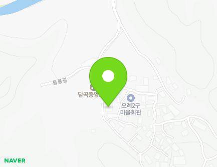 전라남도 담양군 무정면 등룡길 51 (새마을창고) 지도
