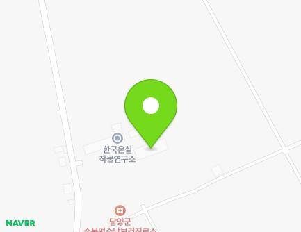 전라남도 담양군 수북면 한수동로 352-11 (미래덴한연구소) 지도