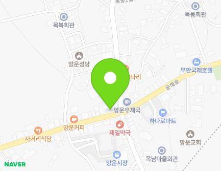 전라남도 무안군 망운면 운해로 1405 (명인약국) 지도