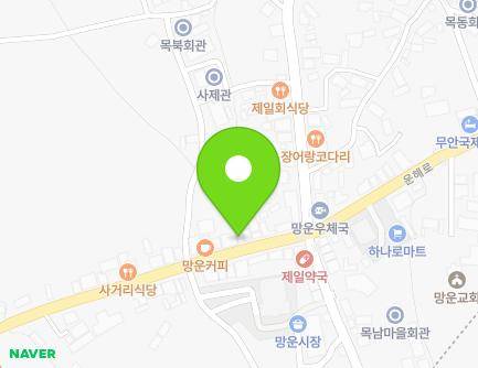 전라남도 무안군 망운면 운해로 1401-1 (한일펌프) 지도