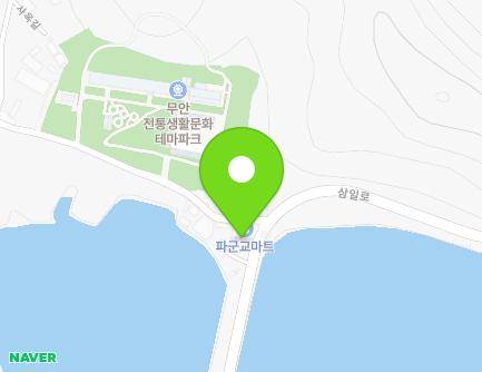 전라남도 무안군 몽탄면 삼일로 1013 (청룡슈퍼) 지도