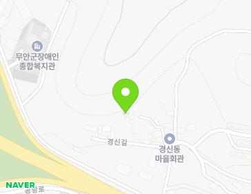 전라남도 무안군 무안읍 경신길 9-11 지도