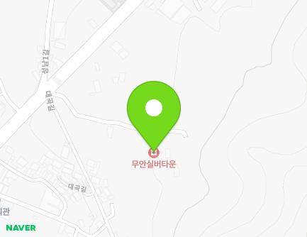 전라남도 무안군 무안읍 무안로 322-18 (노인복지시설) 지도