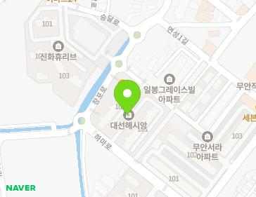 전라남도 무안군 무안읍 창포로 55 (대선해시앙아파트) 지도