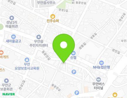 전라남도 무안군 무안읍 무안중앙로 7-17 (피자윙) 지도