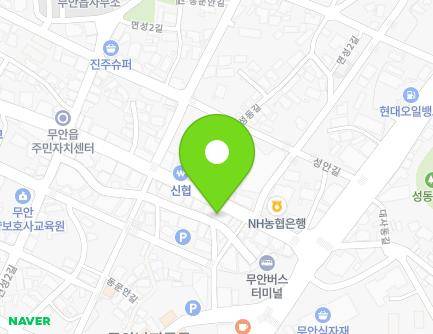 전라남도 무안군 무안읍 무안중앙로 11 (전남약국,한국신경외과) 지도