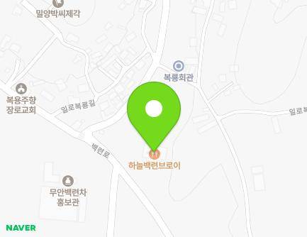 전라남도 무안군 일로읍 백련로 660 (하늘백련브로이) 지도