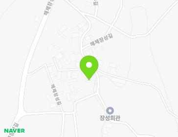 전라남도 무안군 해제면 해제장성길 100 지도