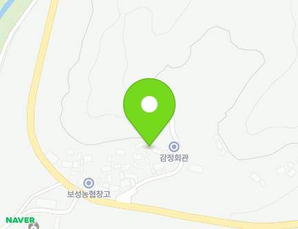 전라남도 보성군 노동면 평동로 971-11 지도