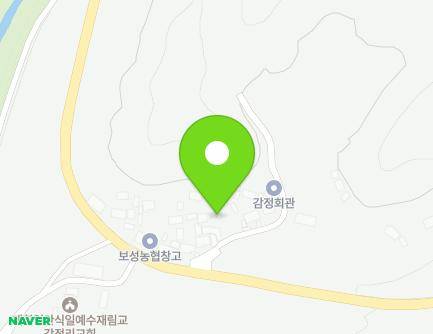 전라남도 보성군 노동면 평동로 971-9 지도