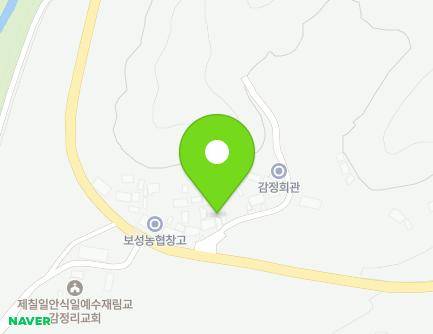 전라남도 보성군 노동면 평동로 971-5 지도