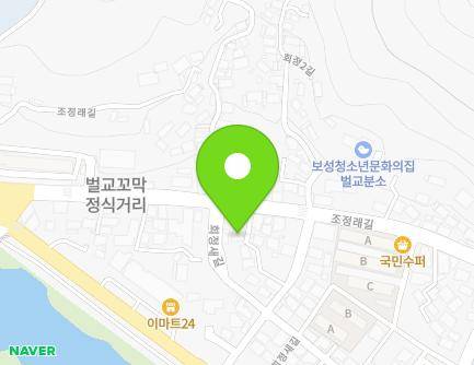 전라남도 보성군 벌교읍 회정새길 1 지도