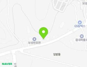 전라남도 보성군 보성읍 송재로 261-1 지도