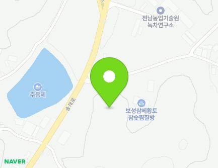 전라남도 보성군 보성읍 송재로 334 지도