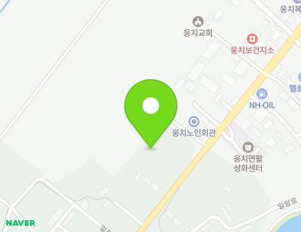 전라남도 보성군 웅치면 일림로 969 지도
