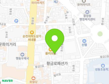 전라남도 순천시 황금1길 14 (남내동, 파비안느) 지도