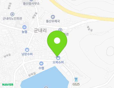 전라남도 여수시 돌산읍 망월대길 13 지도