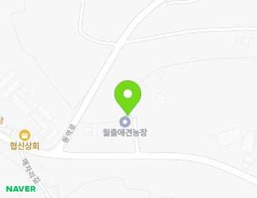 전라남도 영암군 삼호읍 매자리길 55 지도