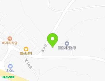전라남도 영암군 삼호읍 매자리길 49 지도