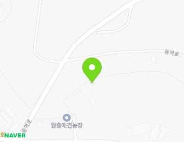 전라남도 영암군 삼호읍 매자리길 57 (월출애견농장) 지도