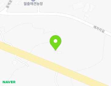 전라남도 영암군 삼호읍 매자리길 40-15 지도