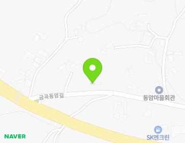 전라남도 영암군 삼호읍 금곡동암길 13 지도