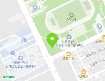 전라남도 영암군 삼호읍 대불주거9로 11 지도