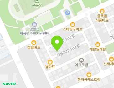 전라남도 영암군 삼호읍 대불주거7로11길 20 (윤하우스B) 지도